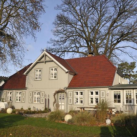 Traumfaengerhaus Engel Lägenhet Prerow Exteriör bild